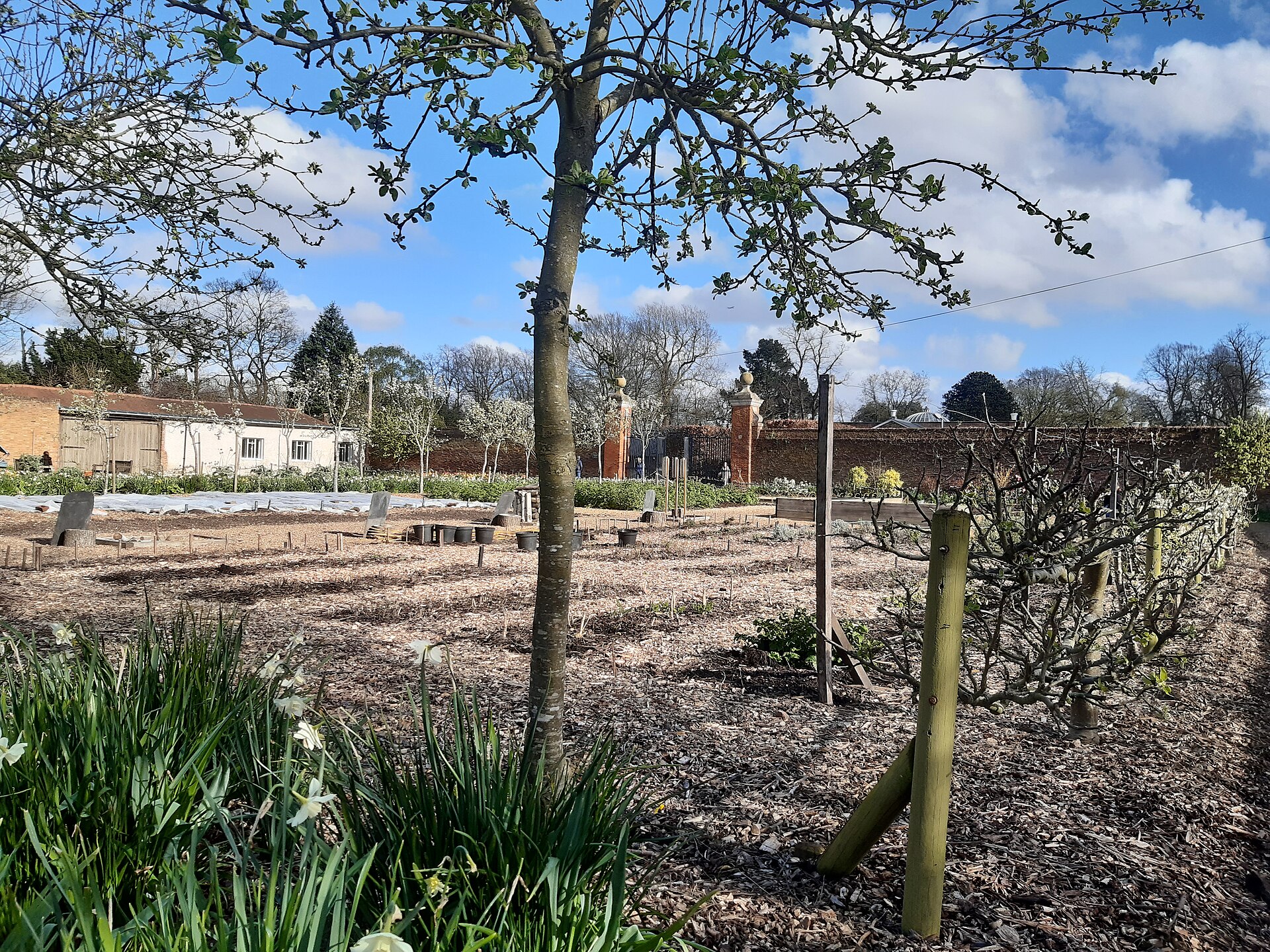 Chiswick House Kitchen Garden - vegetable beds inside brick walls, gates, and rows of trees