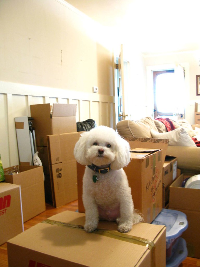 moving