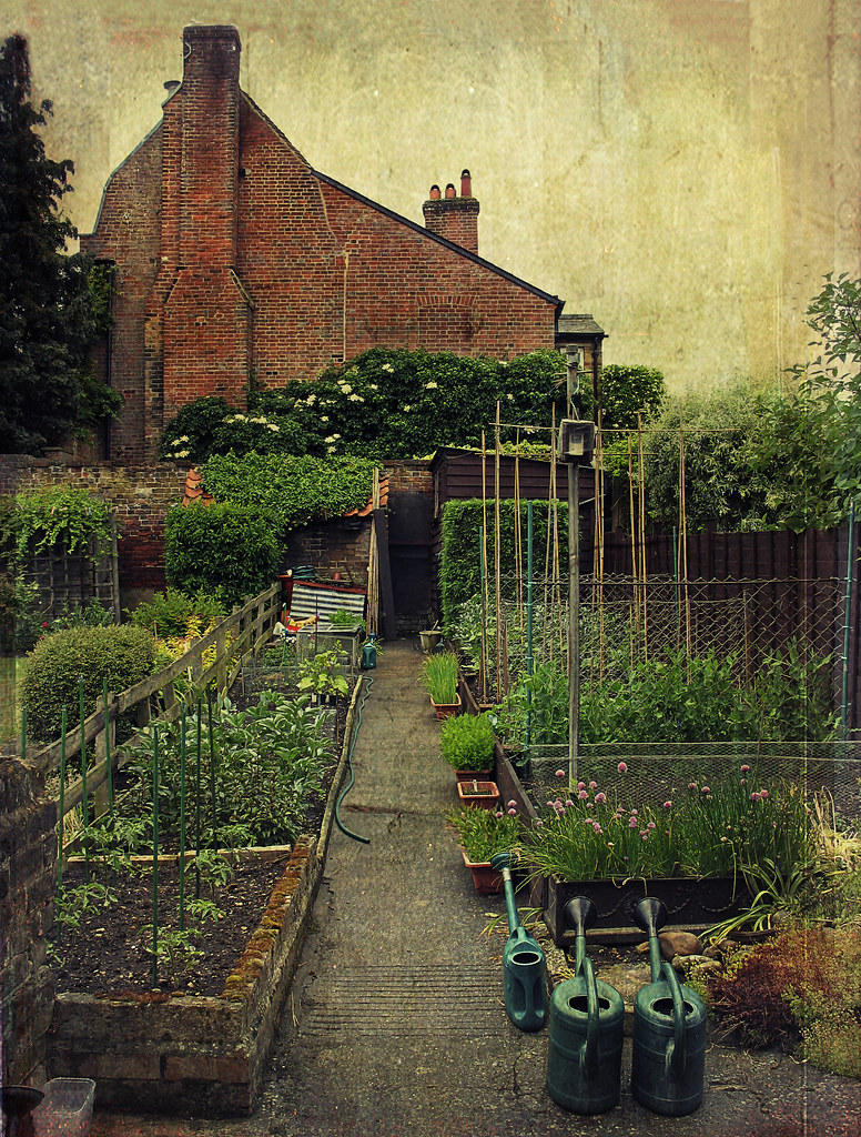 the vegetable garden
