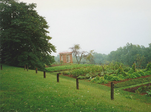 6175 Vegetable Garden at Monticello