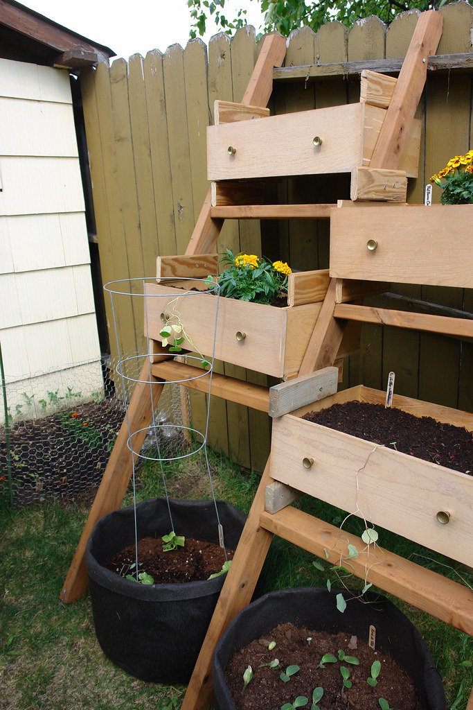 vegetable garden