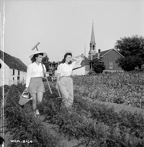The Perry sisters help maintain the vegetable garden on the property of the Dominion Arsenals Ltd. plant, August 24, 1942 / Les sœurs Perry aident à l’entretien du potager sur la propriété de l’usine de la Dominion Arsenals Ltd., 24 août 1942