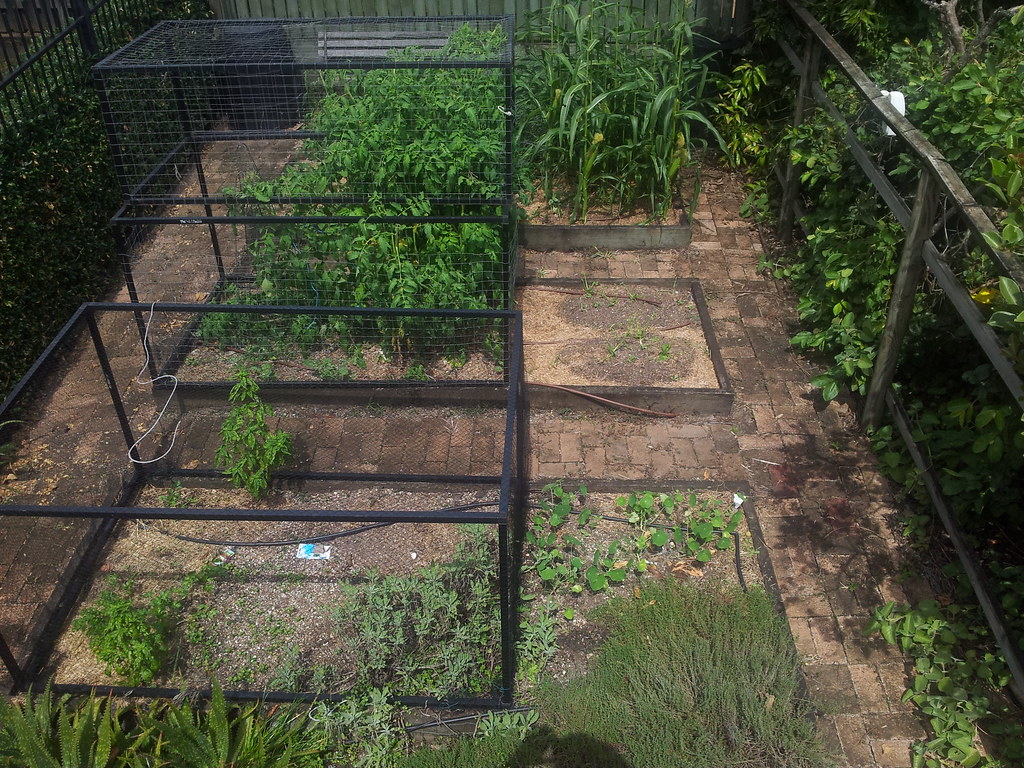 Vegetable garden