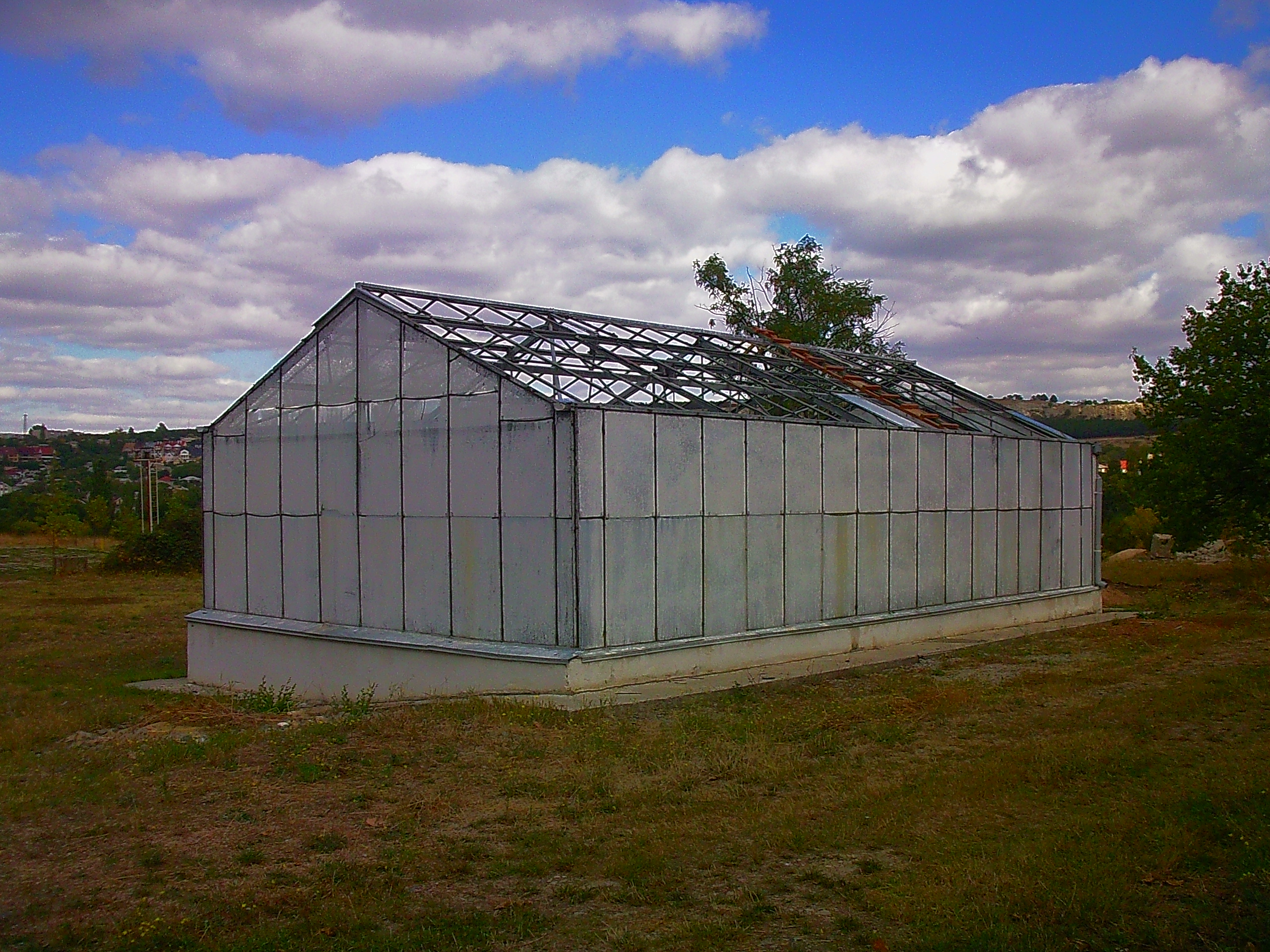 Теплица - panoramio (2)