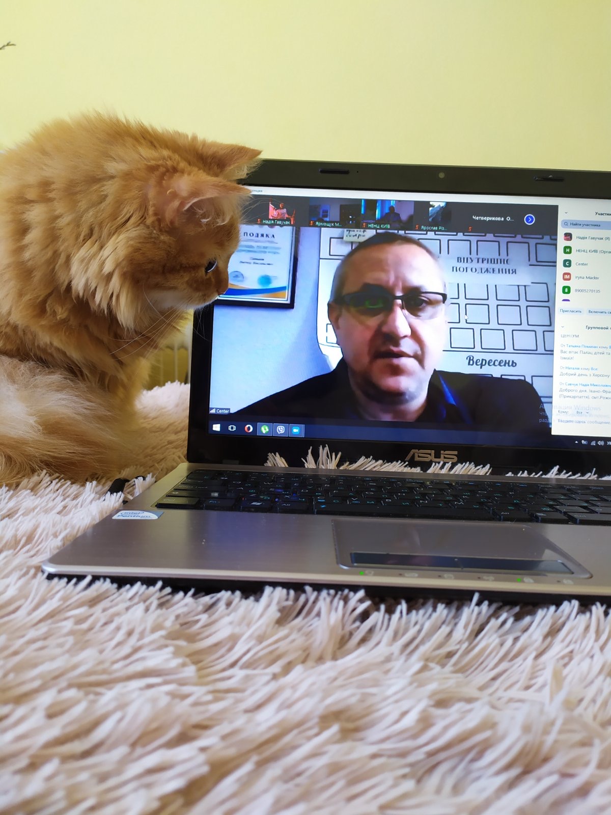 The scientific cat is happy that it is now possible to study remotely, because he was not taken to school