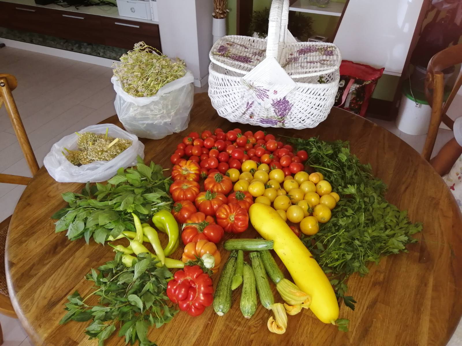 Vegetable harvest: tomatoes, potatoes, peppers, zucchini, parsley, mint..