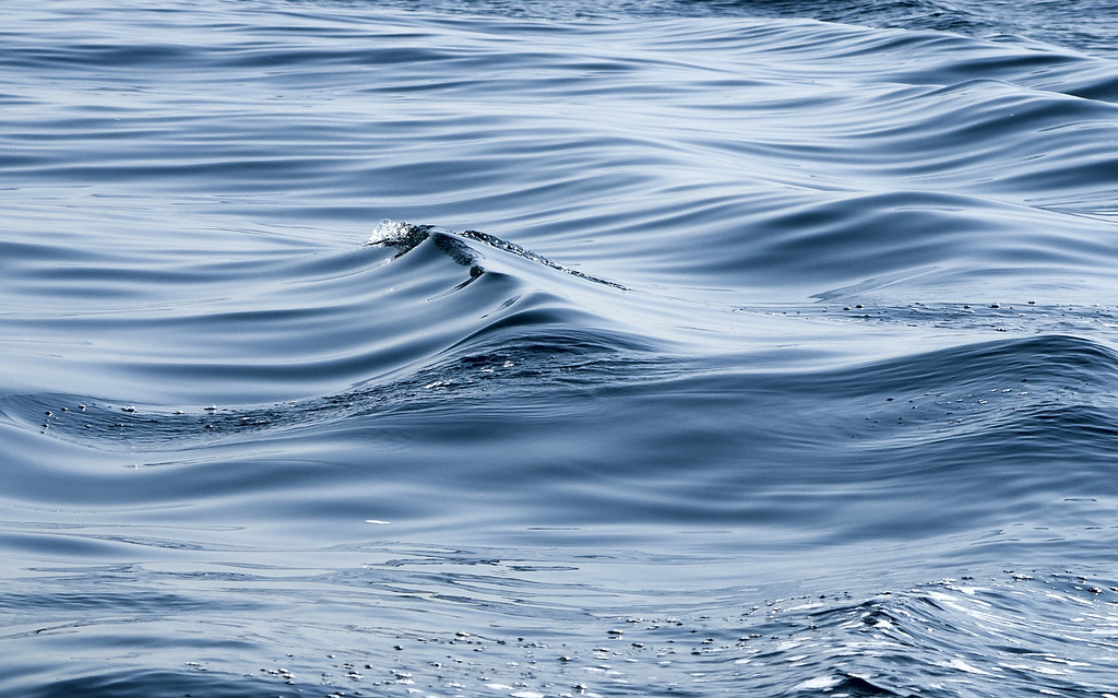 Black Sea / Черное море