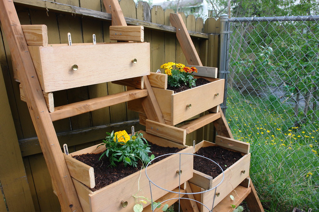vegetable garden